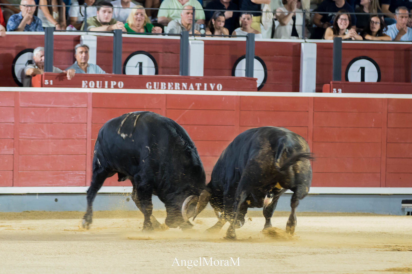 Albacete abre boca para su feria con una gran desencajonada